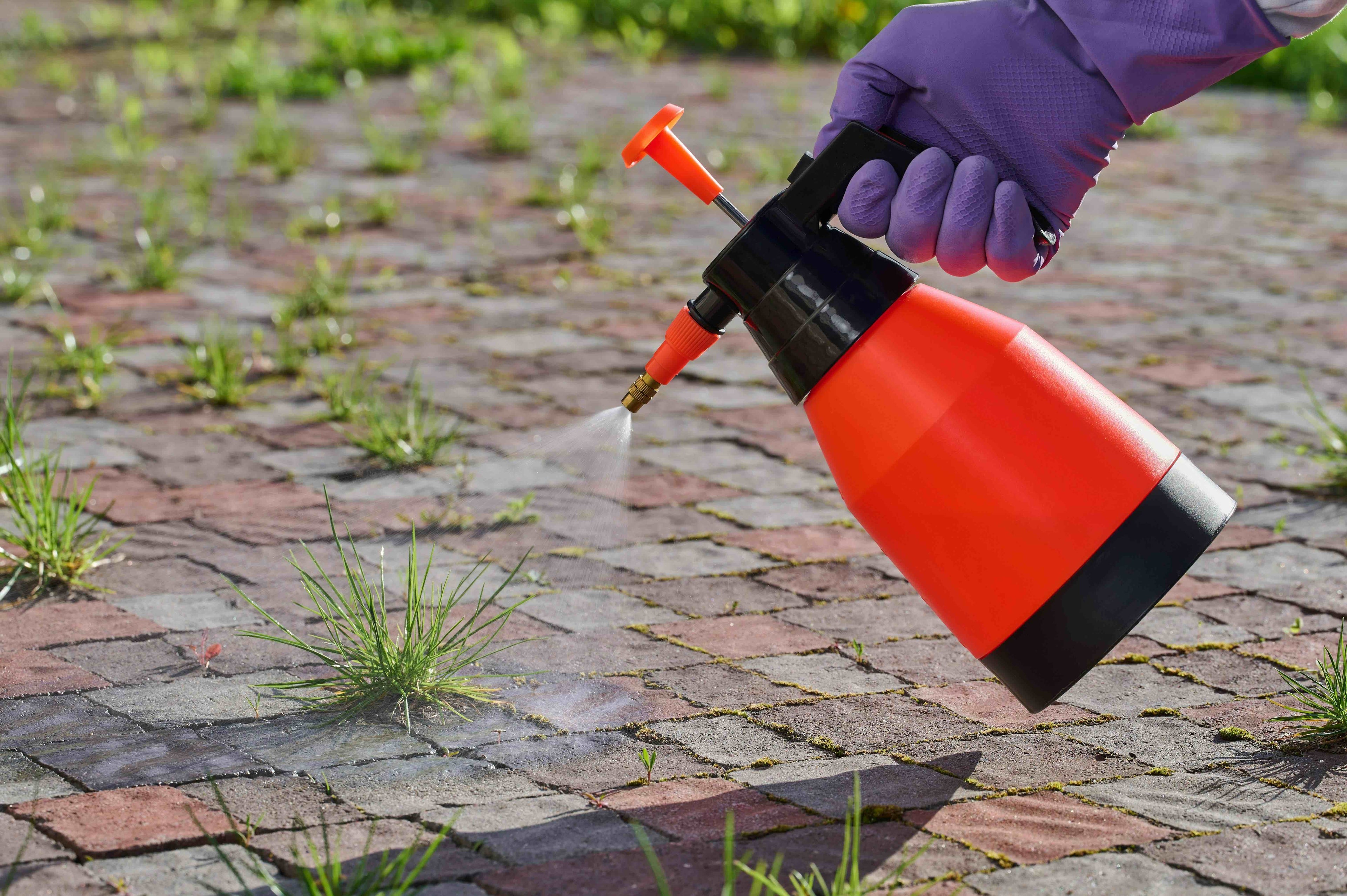 Comment nettoyer une allée envahie par les mauvaises herbes ?