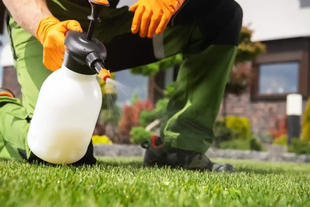 Comment choisir le bon désherbant pour votre jardin ou vos surfaces extérieures